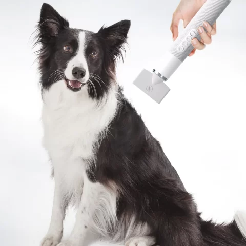 Fluffy-1 nagy sebességű kutya- és macskaszárító