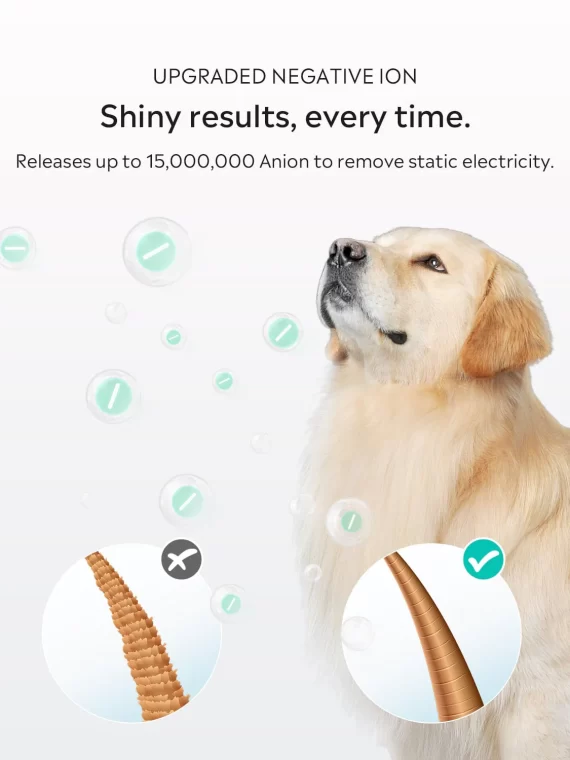 Fluffy-1 nagy sebességű kutya- és macskaszárító